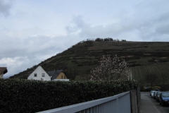img_0890 img_0890