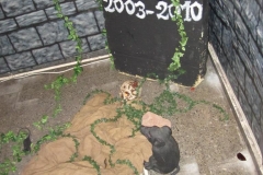 img_0896 img_0896
